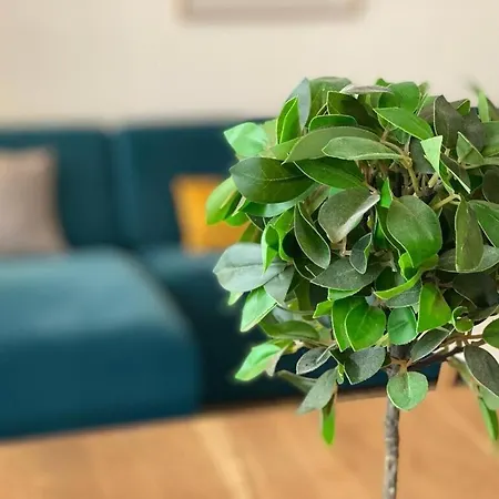 Le Cocon De Jeanne Apartment *